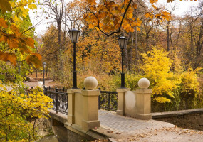 Золотая осень в Кисловодске с пользой для здоровья